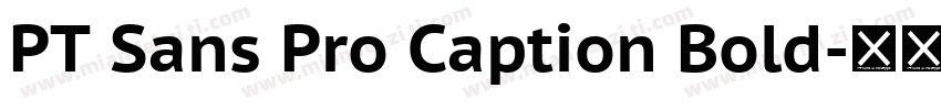 PT Sans Pro Caption Bold字体转换